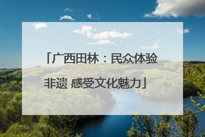 广西田林：民众体验非遗 感受文化魅力