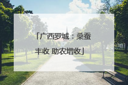 广西罗城：桑蚕丰收 助农增收