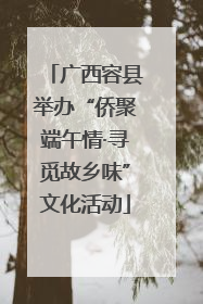 广西容县举办“侨聚端午情·寻觅故乡味”文化活动
