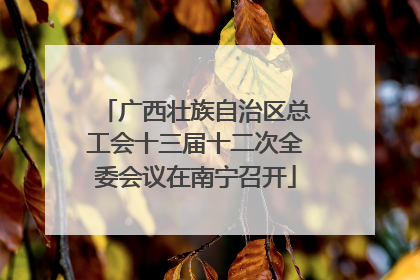广西壮族自治区总工会十三届十二次全委会议在南宁召开