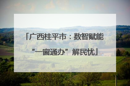广西桂平市：数智赋能“一窗通办”解民忧