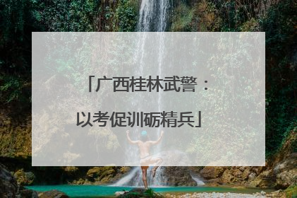 广西桂林武警：以考促训砺精兵