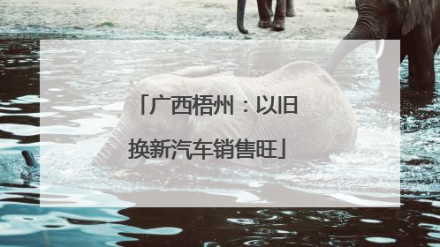广西梧州：以旧换新汽车销售旺