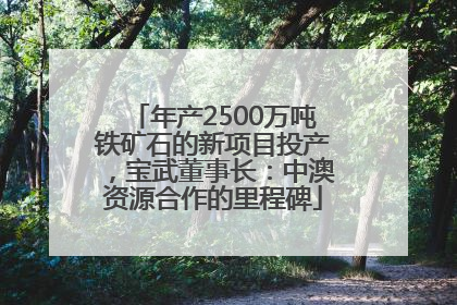 年产2500万吨铁矿石的新项目投产，宝武董事长：中澳资源合作的里程碑