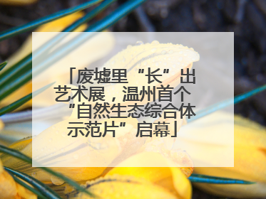 废墟里“长”出艺术展，温州首个“自然生态综合体示范片”启幕