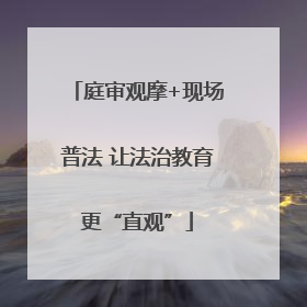 庭审观摩+现场普法 让法治教育更“直观”