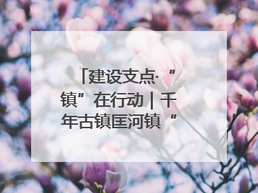 建设支点·“镇”在行动｜千年古镇匡河镇“油”此不同