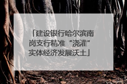 建设银行哈尔滨南岗支行精准“浇灌”实体经济发展沃土