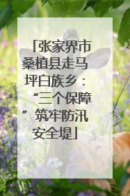 张家界市桑植县走马坪白族乡：“三个保障”筑牢防汛安全堤