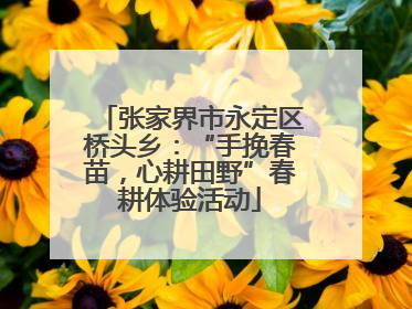 张家界市永定区桥头乡：“手挽春苗，心耕田野”春耕体验活动