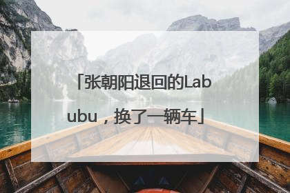 张朝阳退回的Labubu，换了一辆车