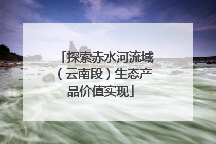 探索赤水河流域（云南段）生态产品价值实现