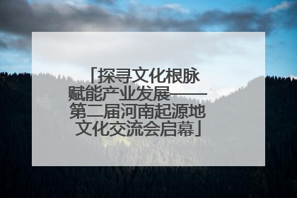 探寻文化根脉 赋能产业发展——第二届河南起源地文化交流会启幕