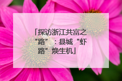 探访浙江共富之“路”：县城“虾路”焕生机
