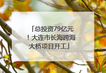 总投资79亿元！大连市长海跨海大桥项目开工