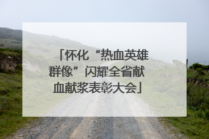 怀化“热血英雄群像”闪耀全省献血献浆表彰大会