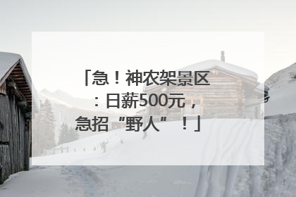 急！神农架景区：日薪500元，急招“野人”！