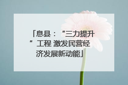息县：“三力提升”工程 激发民营经济发展新动能