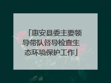 惠安县委主要领导带队督导检查生态环境保护工作