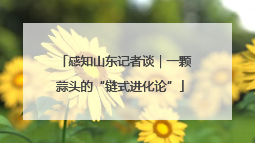 感知山东记者谈｜一颗蒜头的“链式进化论”