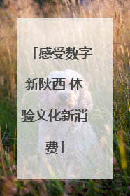 感受数字新陕西 体验文化新消费