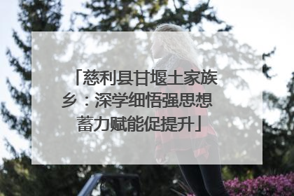 慈利县甘堰土家族乡：深学细悟强思想 蓄力赋能促提升