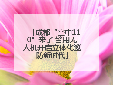 成都“空中110”来了 警用无人机开启立体化巡防新时代