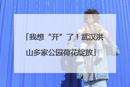 我想“开”了！武汉洪山多家公园荷花绽放