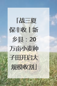战三夏 保丰收丨新乡县：20万亩小麦种子田开启大规模收割