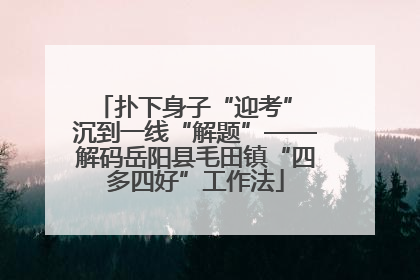 扑下身子“迎考” 沉到一线“解题”——解码岳阳县毛田镇“四多四好”工作法