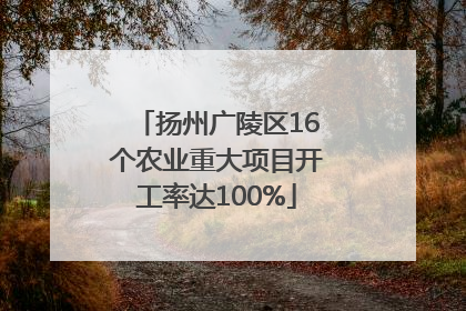 扬州广陵区16个农业重大项目开工率达100%