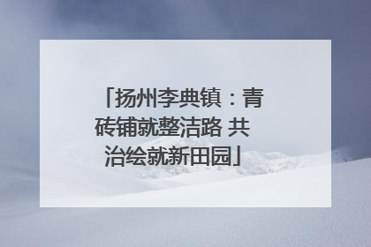 扬州李典镇：青砖铺就整洁路 共治绘就新田园
