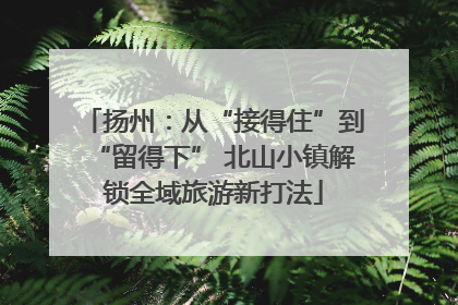 扬州：从“接得住”到“留得下” 北山小镇解锁全域旅游新打法