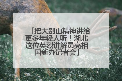 把大别山精神讲给更多年轻人听！湖北这位英烈讲解员亮相国新办记者会