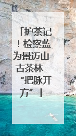 护茶记！检察蓝为景迈山古茶林 “把脉开方”