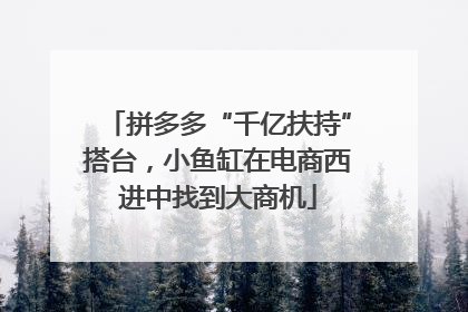拼多多“千亿扶持”搭台，小鱼缸在电商西进中找到大商机