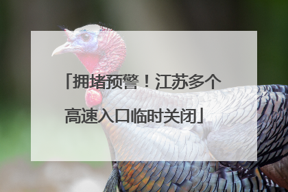 拥堵预警！江苏多个高速入口临时关闭