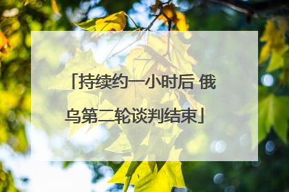 持续约一小时后 俄乌第二轮谈判结束