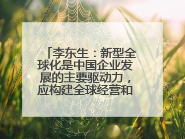 李东生：新型全球化是中国企业发展的主要驱动力，应构建全球经营和供应链体系
