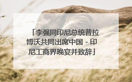李强同印尼总统普拉博沃共同出席中国－印尼工商界晚宴并致辞