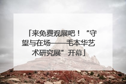 来免费观展吧！“守望与在场——毛本华艺术研究展”开幕