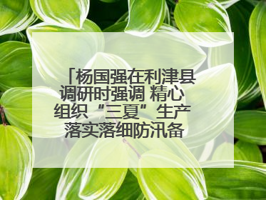 杨国强在利津县调研时强调 精心组织“三夏”生产 落实落细防汛备汛工作
