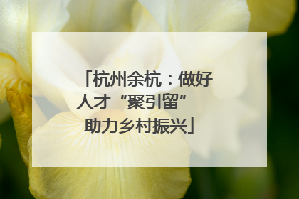 杭州余杭：做好人才“聚引留” 助力乡村振兴