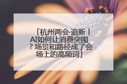 杭州两会·追新丨AI如何让消费突围？场景和路径成了会场上的高频词