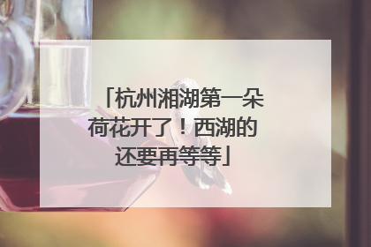 杭州湘湖第一朵荷花开了！西湖的还要再等等