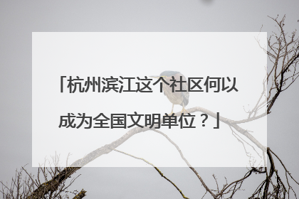 杭州滨江这个社区何以成为全国文明单位？
