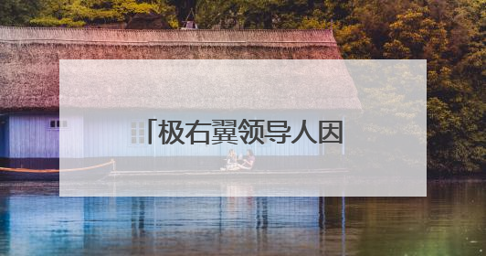 极右翼领导人因难民政策分歧退出执政联盟，导致荷兰政府垮台