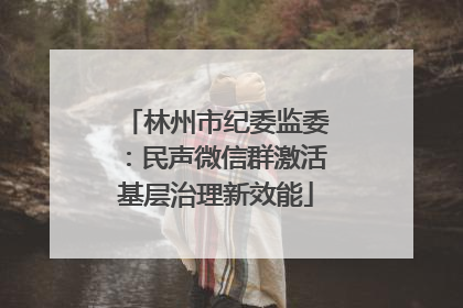 林州市纪委监委：民声微信群激活基层治理新效能