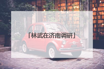 林武在济南调研