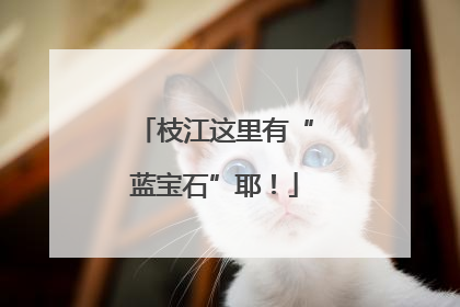 枝江这里有“蓝宝石”耶！